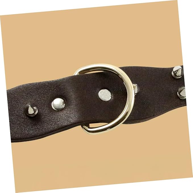 BESPORTBLE Pet Collar Leather Necklace for Medium to Large Dogs Stylish Design Accessory for Pets