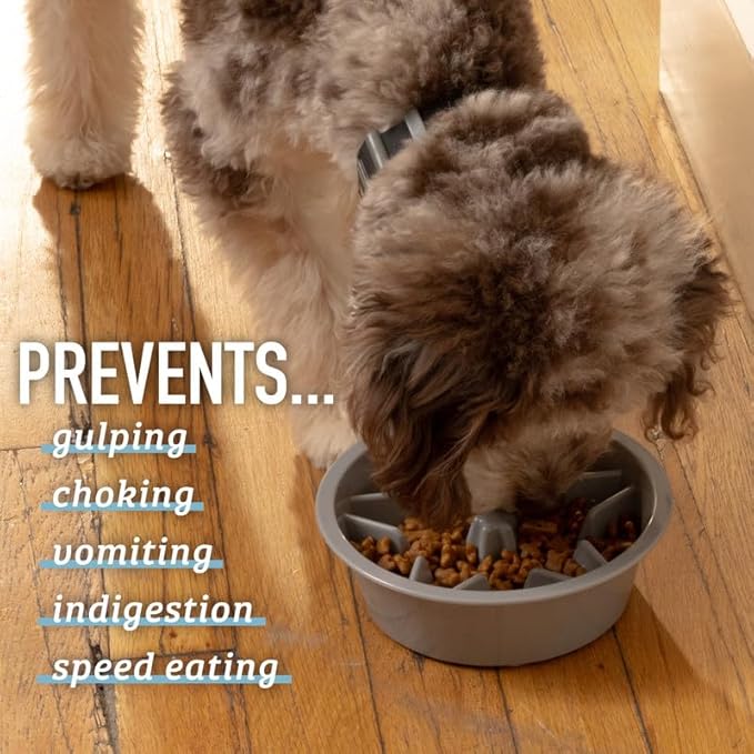 Leash Boss Slow Feeder Dog Bowls - 1.5 Cup, Puzzle Dog Food Bowl with Feeder Holes, Fits into Elevated Pet Feeders, Slow Eating for Large, Medium & Small Sized Breeds, Blue