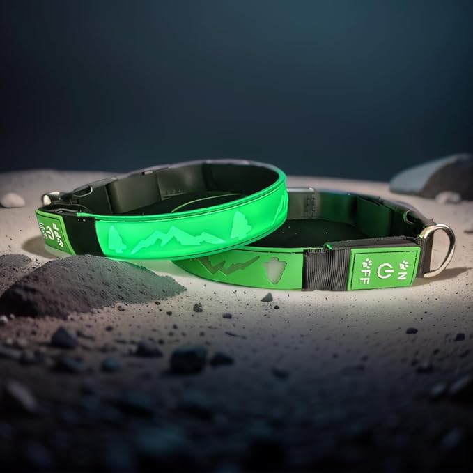 Customlized Name Flashing USB-C led Light up Dog Collar with airtag Holder, Subversive 3D Design Comfortable and Soft Material,Multicolored Lighting (Green, L(15.7-19.7"))