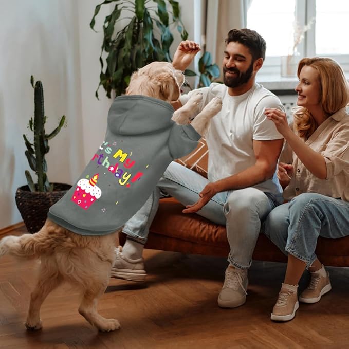 GreenJoy Dog Sweater Dog Hoodie Cold Weather Coat Hooded Sweatshirt for Puppies,Cats, Small Medium Large Dogs (Grey(It's My Birthday), Medium)