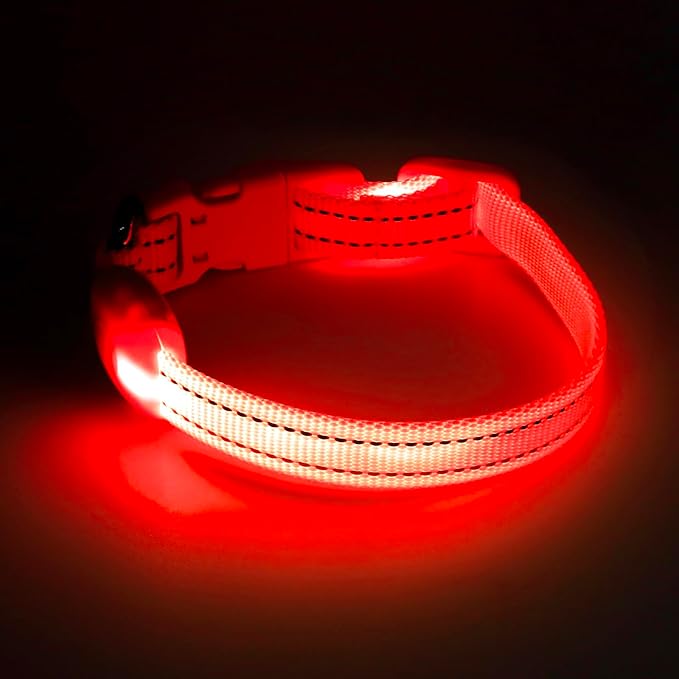 Light up Dog Collar for Small Dog,Vizpet XS Adjustable Size Nylon Collar USB Rechargeable Bright Safety Pet Collar for Cats Dogs (Red，XS)