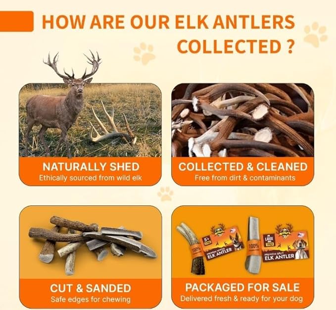 Tibetan Elk Antler for Jumbo Dogs, Grade-A, Premium Chews, Naturally shed Healthy & Longer Lasting Aggressive chewers, USA Product Antler (Split)