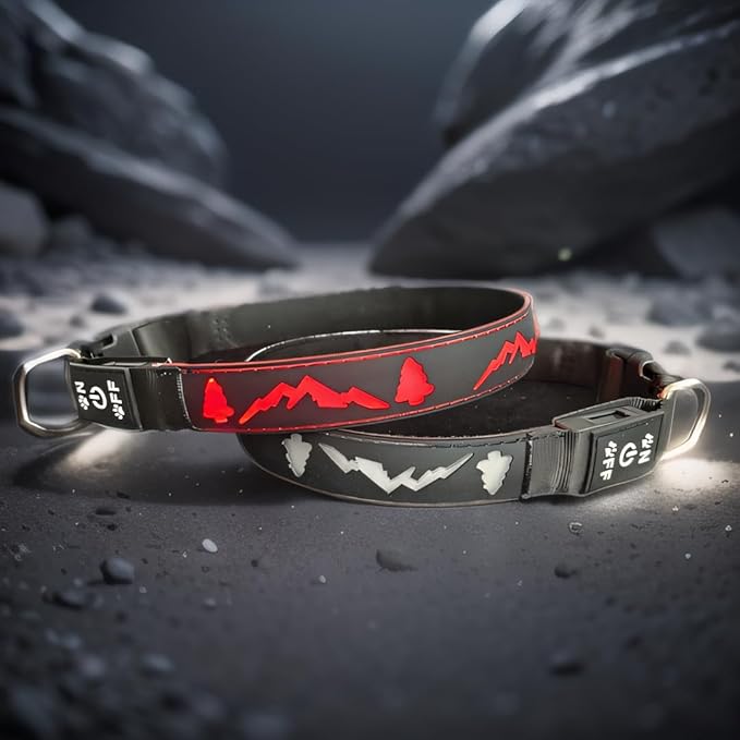 USB-C led Light up Dog Collar, 3D Design Comfortable and Soft Material,Multicolored Lighting，Night Dog Collar (TR, M(15.7-19.7"))