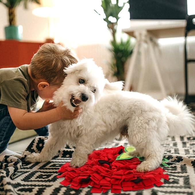 Snuffle Mat for Dogs, Pet Feeding Mats Puppy Sniffing Pad, Strawberry Shaped Snuffle Mat, Cat Doggies Interactive Toys for Multiple Breeds Training and Stress Release (Strawberry)