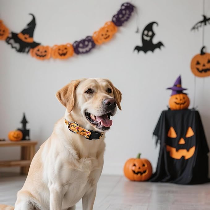 Halloween Dog Collar, Adorable Ghost Pattern Halloween Collar for Medium to Large Dogs - Comfortable & Cute November 1st All Saints Dog Collars (L, 15.5-26IN)