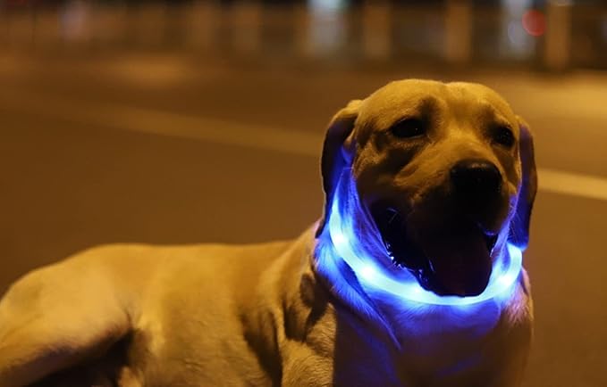 LED Dog and Cat Collar, USB Rechargeable Glowing Pet Collar, Cuttable Dog Necklace Safety Light for Dogs and Cats - Available in 7 Colors (Blue)