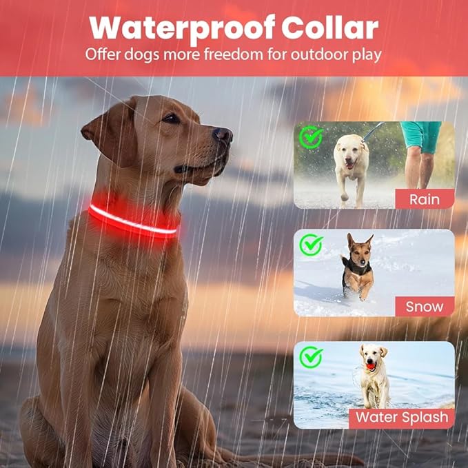 Cherry Red Small LED Dog Collar | Night Walks just got Safer | Ultra-Bright LED Collar | USB Rechargeable | Waterproof | Adjustable & Durable | 4 Light Modes | Keep Your Pup & Yourself Safe!