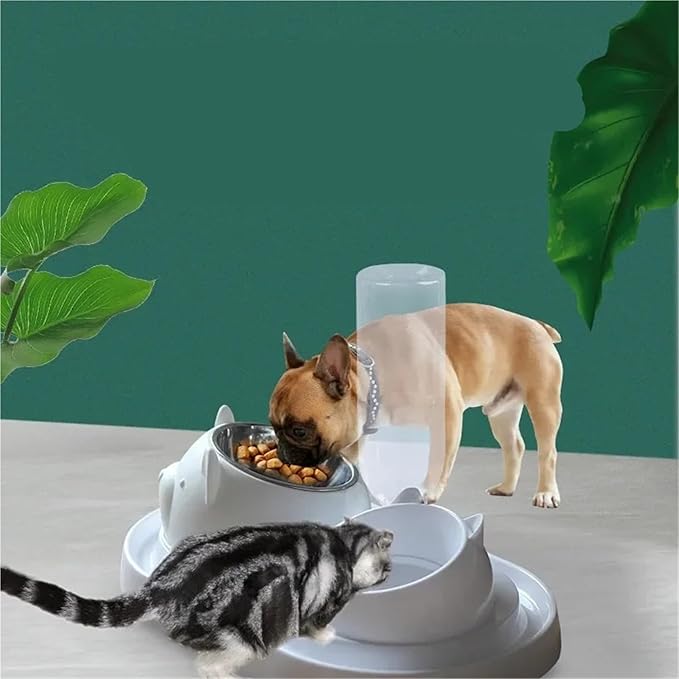 Snacko 1PCS Automatic Pet Water Feeder & Stainless Steel Dog and Cat Bowl - Ideal for Dogs and Cats