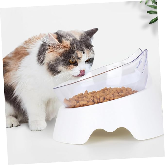 BESPORTBLE Automatic Cat Feeder Water Dispenser Inclined Pet Bowl Set Easy to Clean for Dogs and Cats