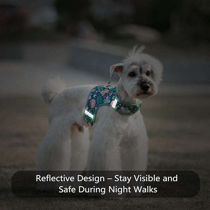 Dog Harness for Small Sized Dog,Hook-and-Loop Easy On/Off, Reflective Adjustable Soft Mesh Vest for Puppy (Green Floral Print,XXXS)