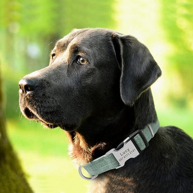 Fashion Nylon Personalized Dog Collar Engraved Name Dog Collars Custom Puppy Pet Collar ID Tag for Small Medium Large Big Dogs Green L