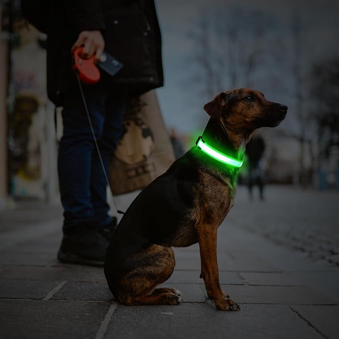 Illumifun LED Dog Collar, USB Rechargeable Light Up Dog Collar Glow in The Dark (Green, Medium)