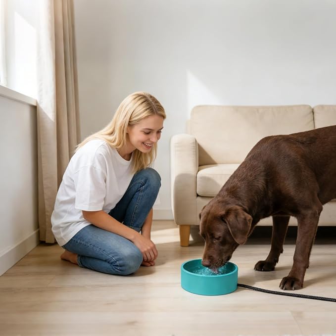 Automatic Pet Water Bowl - 3.2l Large Capacity Heated Dish for Healthy Hydration, Smart Temperature Control with Anti Spill Design, Dog Cat Puppy Chicken Bird Feeder for Indoor Outdoor Garden Yard