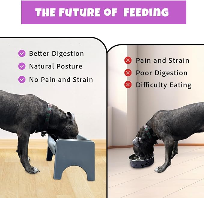 Fluff Trough Elevated Slow Feeder Dog Bowls | Slow Feeder Cat Bowl with Vet Approved & Non-Toxic Silicone Minimizes Neck Strain | Paced Eating Insert Designed for Flat-Faced Pets (Purple)