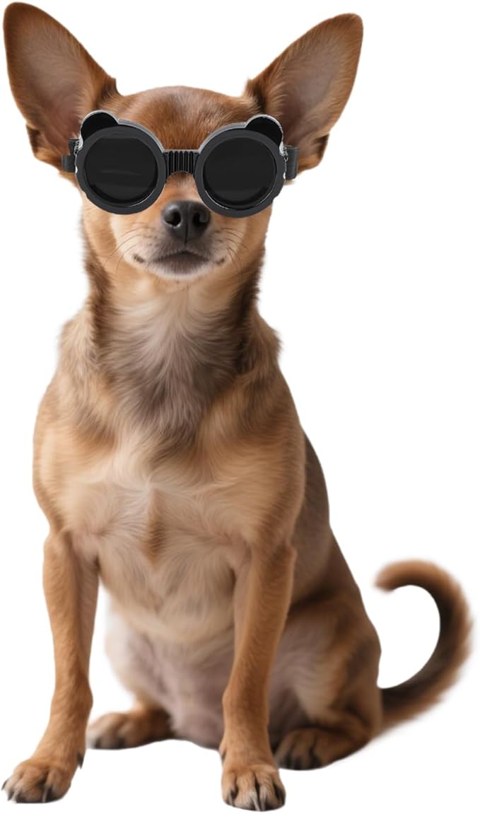 Namsan Dog Goggles Small Breeds, UV Protection Dog Glasses for XSmall to Small Dogs, Chihuahua Sunglases Windproof Dustproof Driving Eye Protection, Adjustable, Panda Black