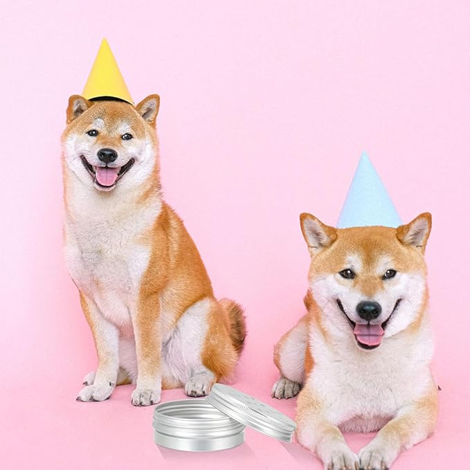 YARNOW 6pcs Dog Scent Training Cases Aluminum Odor Boxes for Nose Work Durable Scent Training Supplies for Small Dogs for Agility and Search