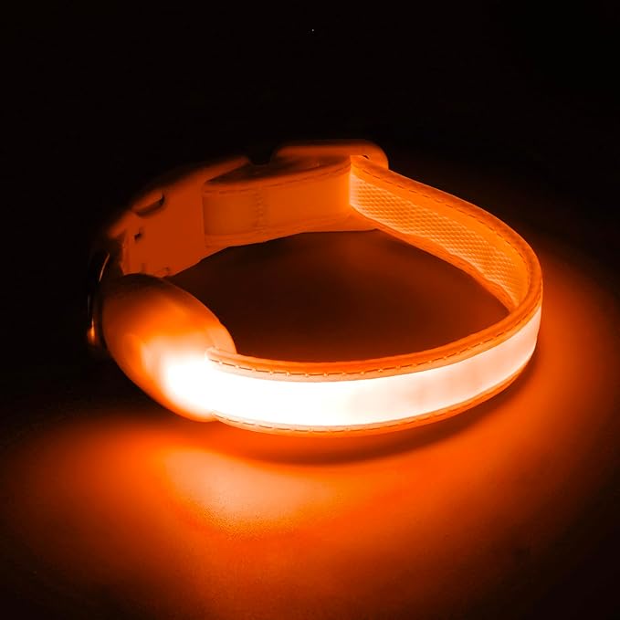 Light up Collar for Small Dog,Vizpet XS Adjustable Size Nylon Collar USB Rechargeable Bright Safety Pet Collar for Cats Small Dogs (Orange, X-Small[ 8.66-11.9 inch/22cm-30cm])