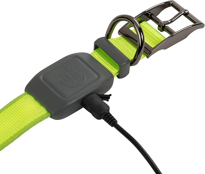 LED Rechargeable Dog Collar - Medium