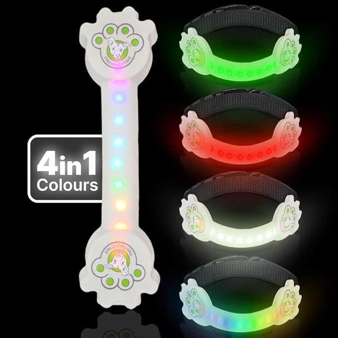 Rechargeable LED Dog Collar, Adjustable Size Light Up Collar with 360° Halo Effect, Ultra-Bright RGB Light, Weather-Resistant Design, Flash Mode, & USB-C Charging for Small, Medium & Large Dogs