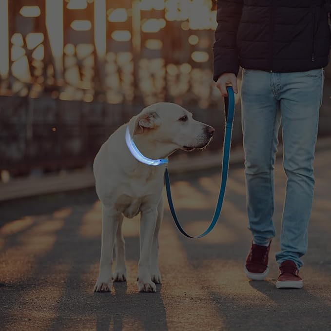Glowing Pet Collar Adjustable Light up Dog Collar USB Rechargeable Night Luminous Pet Neck Decoration Blue Medium for Dogs
