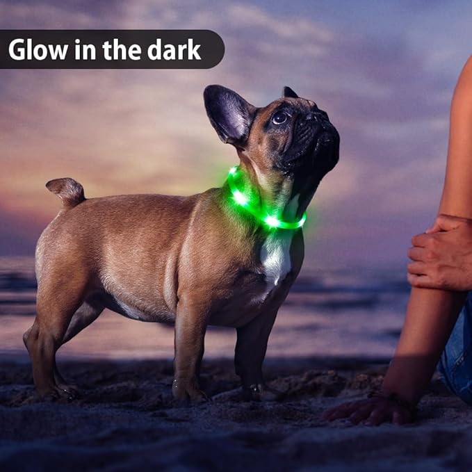 BSEEN Light Up Dog Collar for Small Dogs, Silicone LED Cat Collar Rechargeable Glowing Puppy Collar Dog Lights for Night Walking (Green-XS(40cm))