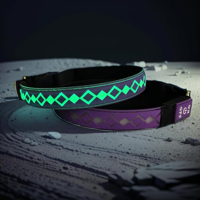 USB-C led Light up Dog Collar, 3D Design Comfortable and Soft Material,Multicolored Lighting，Night Dog Collar (LX-Purple, M(15.7-19.7"))