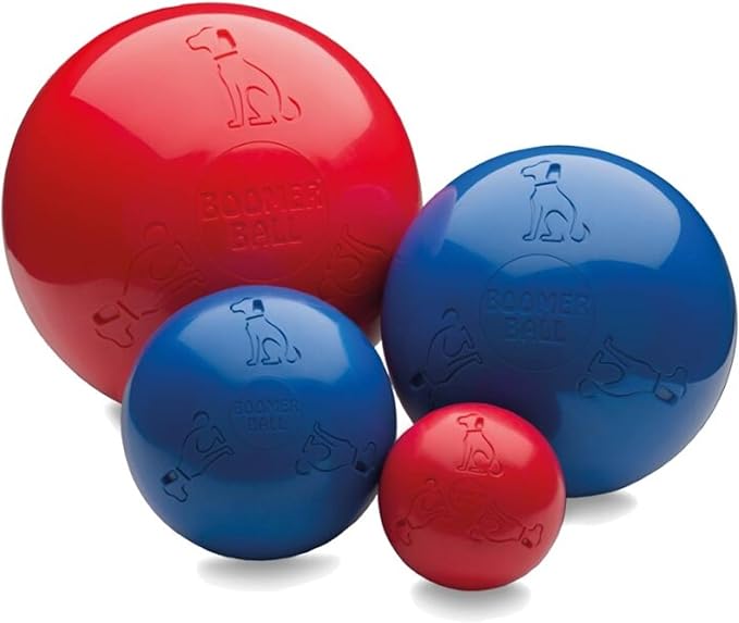 BOOMER BALL 4 inch, Virtually Indestructible Best Dog Toy, Boredom Busting Football, Tough & Durable Small Dog Ball, Floats on Water, Great for Mental Stimulation & High Energy Dogs, Assorted Colours