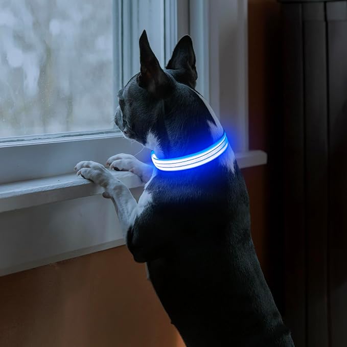 Light Up Dog Collars Rechargeable, Reflective LED Glow Dark Dog Collar for Small Medium Large Dogs, Adjustable Pet Dog Lights for Safe Night Walk-Blue, Small