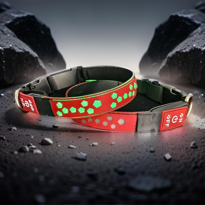 customerlized Personalized Dog Collar USB Rechargeable, Waterproof airtag Holder LED Light Up Dog Collar Adjustable Soft Silicone Collar for Medium Large Dogs (RED, S(7.87-11.8"))