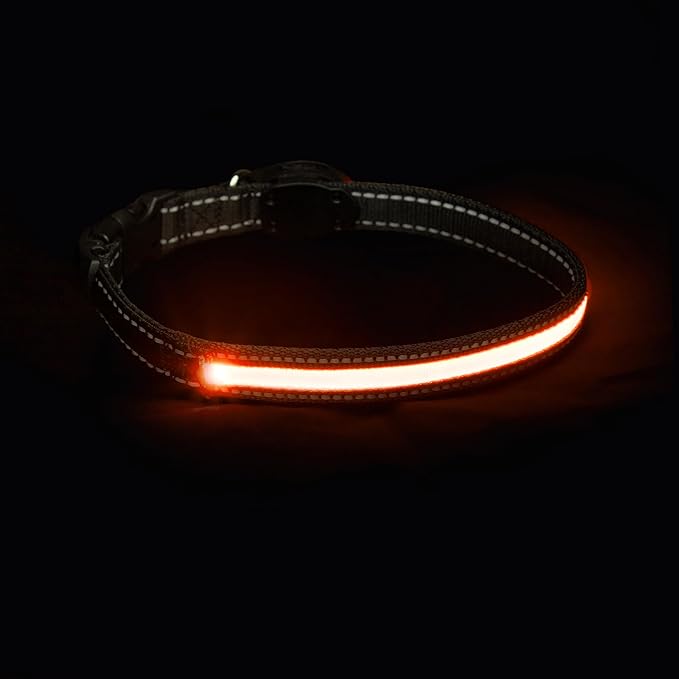Sherry Kline LED Light-Up Pet Collar - USB Rechargeable - Flashing Glow in The Dark Size Medium, Color: Orange