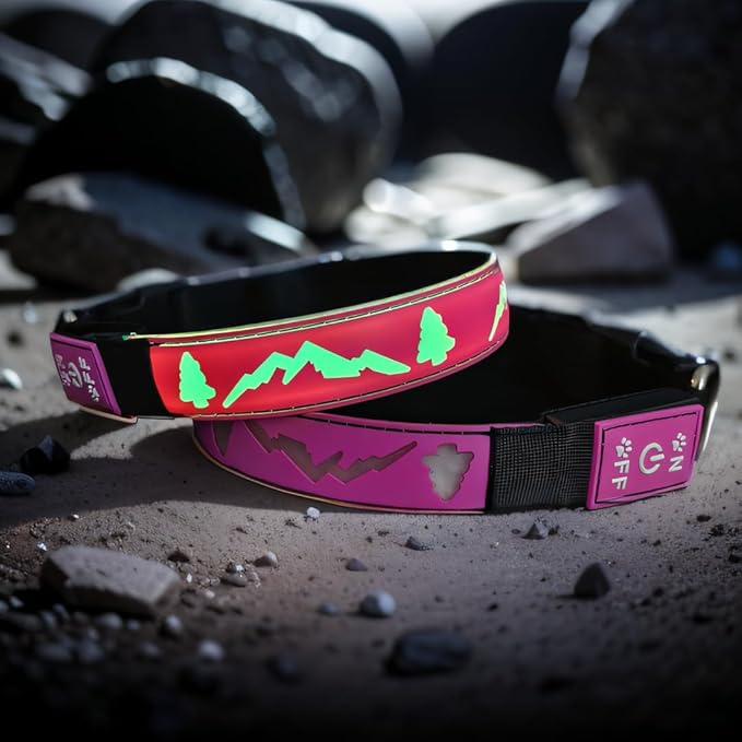 Customlized Name Flashing USB-C led Light up Dog Collar with airtag Holder, Subversive 3D Design Comfortable and Soft Material,Multicolored Lighting (Pink, XL(19.7-23.6"))