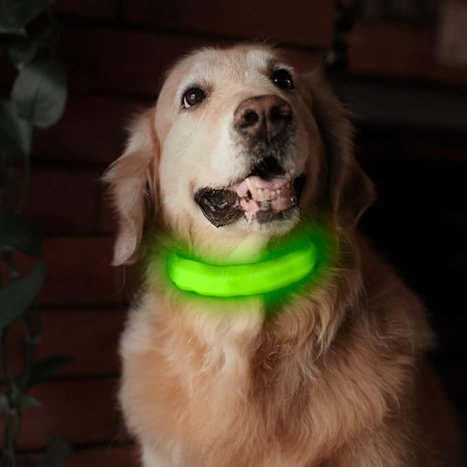 Green Light-Up LED Adjustable Pet Collar (Flashing or Steady Modes) - Rechargeable via USB Cable (Included) by Electronix Express (Small)