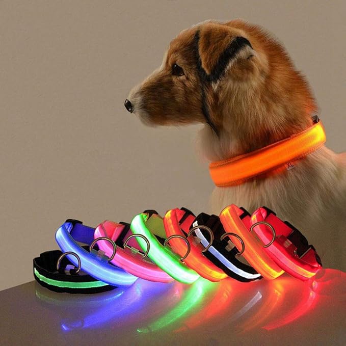LED Dog Collar Safety Collar USB Rechargeable Adjustable Glowing Pet Collar Basic Dog Collars Reflective Light Up Collars for Your Dogs 8 Colors with 3 Sizes