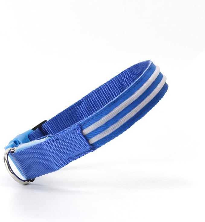 LED Dog Collar - USB Rechargeable for Night Safety(Neon Blue Color,Small Size)