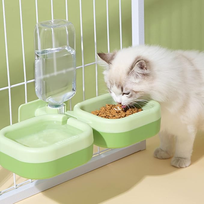 Automatic Cats Dogs Feeder Waterer Food Bowl Pet Feeding Solution 17Oz Water Dispenser for Small Large Pets