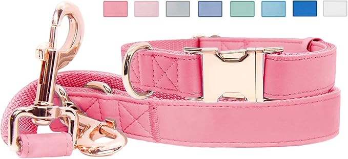 Soft Leather Dog Collar and Leash (6.6') Set - Stylish Rose Gold Heavy Duty Metal Buckle, 4 Adjustable Lengths Leash for Small Medium Large Dogs - Comfortable & Easy to Clean Dark Pink XS(8"-12")