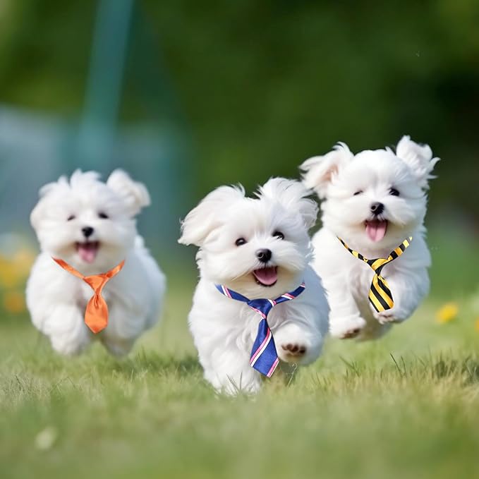 Segarty 60 PCS Small Dog Ties, Assorted Pattern Adjustable Pet Bow Ties for Small Dogs Bows Cats Grooming Bowties Puppy Neckties Festival Party Valentine Photography Birthday Gift Holiday Costumes