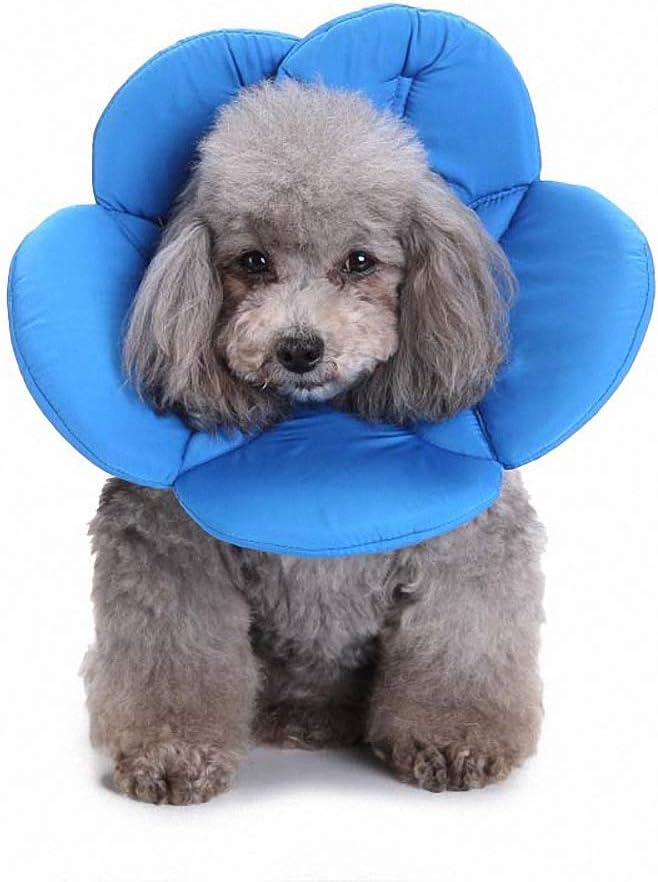 Lakke Flower Colorful Pet Dog Necklace Collar Various Pattern Shape Puppy Playing Collars for Small Dog Blue S