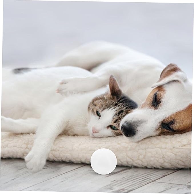 Scent Training Tool for Dogs Scent for Nose Work and Training Accessory for Service and Detection