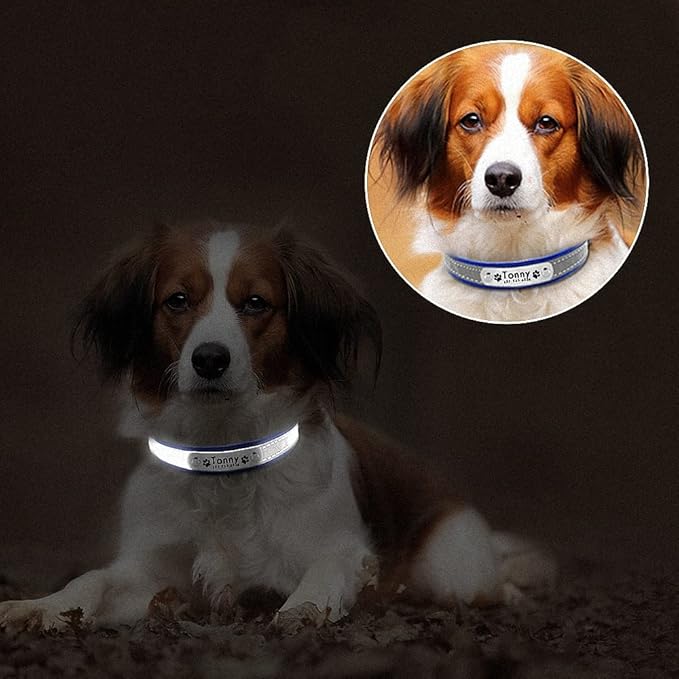 Reflective Dog Collar Personalized Pet Dog Collars Leather Padded Dogs Collar for Small Medium Dogs Chihuahua Yorkie Blue XS