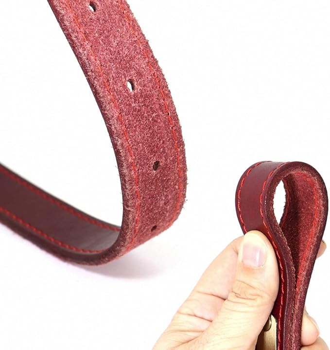 Personalized Leather Dog Collar Custom Dog Collars Leather Gold Buckle Pet ID Collar for Small Medium Large Dogs Dobermann Red S