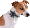 Custom Flower Dog Collar Nylon Floral Printed Pet Dog Collars Personalized Puppy Collar for Small Medium Large Dogs Cat Pitbull 145 Green M