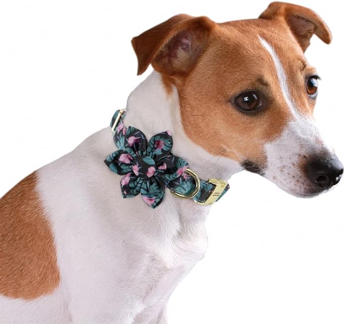 Custom Flower Dog Collar Nylon Floral Printed Pet Dog Collars Personalized Puppy Collar for Small Medium Large Dogs Cat Pitbull 145 Green M