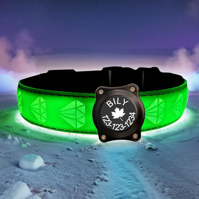 Personalized Dog Collar Waterproof airtag Dog tag Holder,USB C Light up Night Black Dog Collar (Green, L(15.7-19.7"))