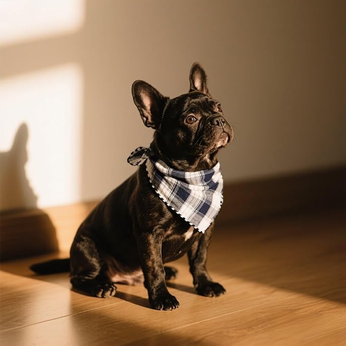 Double Layers Two Tones Dog Cotton Square Bandana Bibs Scarf Kerchief for Small Medium Dogs Boy or Girl - DCB05 B&G