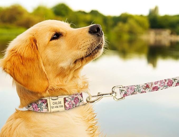 Personalized Floral Dog Collar and Leash Set Custom Small Medium Large Dog Pet ID Collar Lead Flower Print Dog Engraved Collars Beige Set L