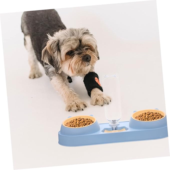 ibasenice Pet Feeder Automatic Cat Dog Feeder Elevated Food Bowls Pet Feeding Device Cat Food Bowl Water Dispenser