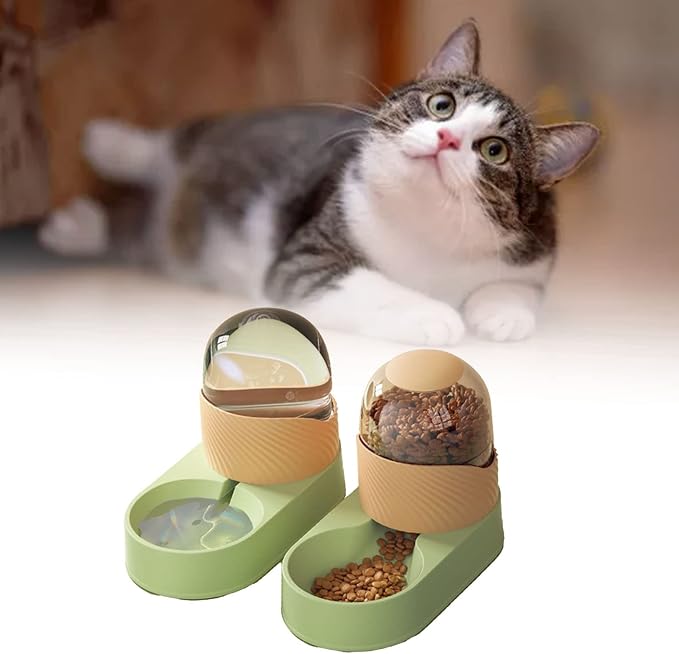 Pet Water Food Dispenser, Automatic Cat Feeder Waterer Transparent Odorless Large Capacity Easy Cleaning 2000ml for Indoor (Green Orange)