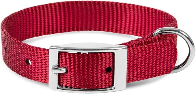 Jeffers Pet Solid Nylon Dog Collars, Red, 8" W x 12" L – Adjustable, Durable & Safe for Dogs, Lightweight & Double Ply Design, Stylish Pet Accessories - Perfect for Training, Walking & Tracker