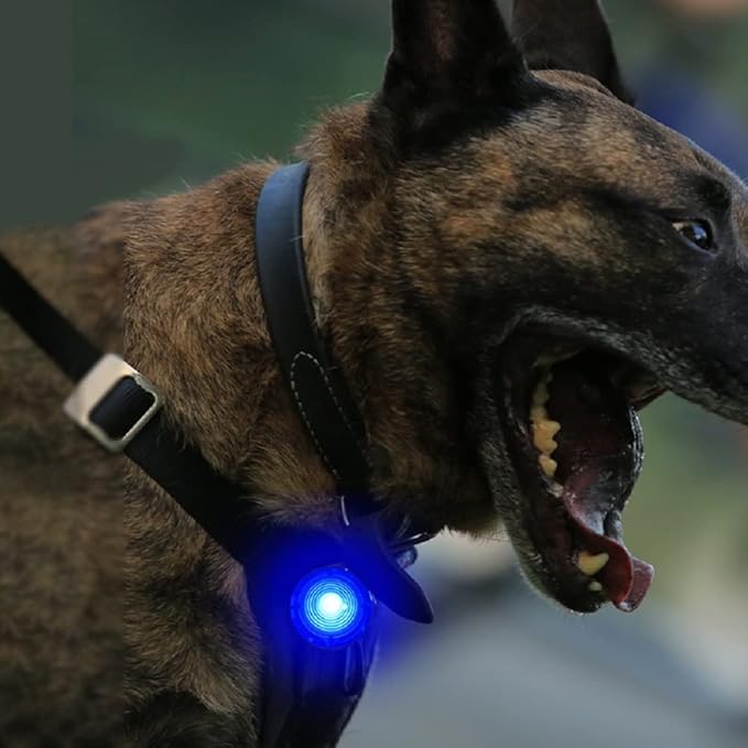LED Collar Charm Light,Dog Collar Lights for Night Walking,Dog Night Light, Pet Safety Light for Outdoor, 3 Light Modes,5KM Visibility,USB Rechargable (2 Count, Blue)
